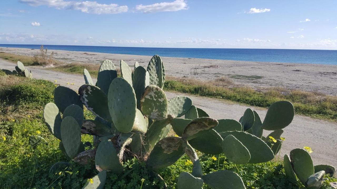 Magna Grecia B&B E Appartamenti Caulonia Marina Exterior foto